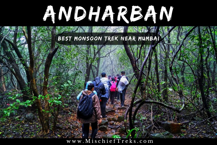 Andharban Forest Jungle Trek by Mischief Treks from Mumbai