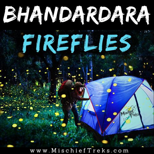 Bhandardara Fireflies Festival Camping and Trek by MischiefTreks from Mumbai. Copyright: Mischief Treks. Source: www.mischieftreks.com