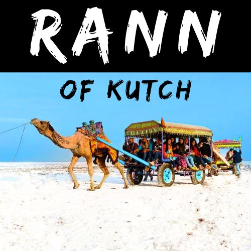 Rann Utsav at Rann of Kutch customized tour package for couples private tour.