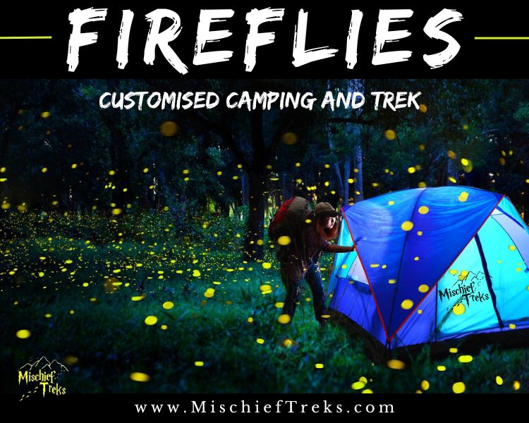 Customise Fireflies Festival 2024 Camping and Trekking, Copyright: Mischief Treks. Source: www.mischieftreks.com