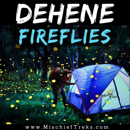 Dehene Fireflies Festival Camping 2025 by Mischief Treks from Mumbai. Copyright: Mischief Treks. Source: www.mischieftreks.com