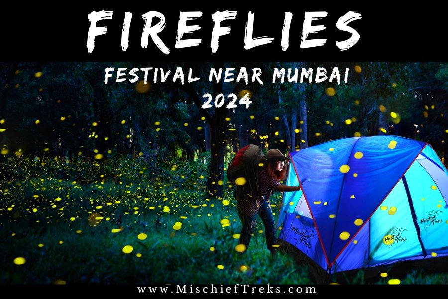 Fireflies Festival Camping and Trek 2024 by Mischief Treks. Copyright: Mischief Treks. Source: www.mischieftreks.com
