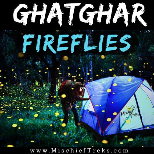 Ghatghar Fireflies Festival Camping and Trek by MischiefTreks from Mumbai. Copyright: Mischief Treks. Source: www.mischieftreks.com