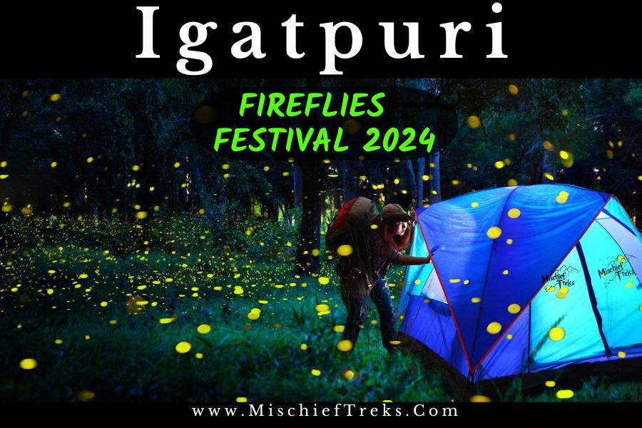 Igatpuri Fireflies Festival 2023 Camping near Mumbai By Mischief Treks