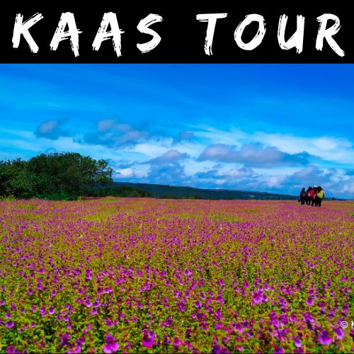 Kaas Pathar tour from Mumbai with online booking including visit to Sajjangad Fort, Vajrai Waterfall, Thoseghar waterfall and Stay in camping tent for two days.