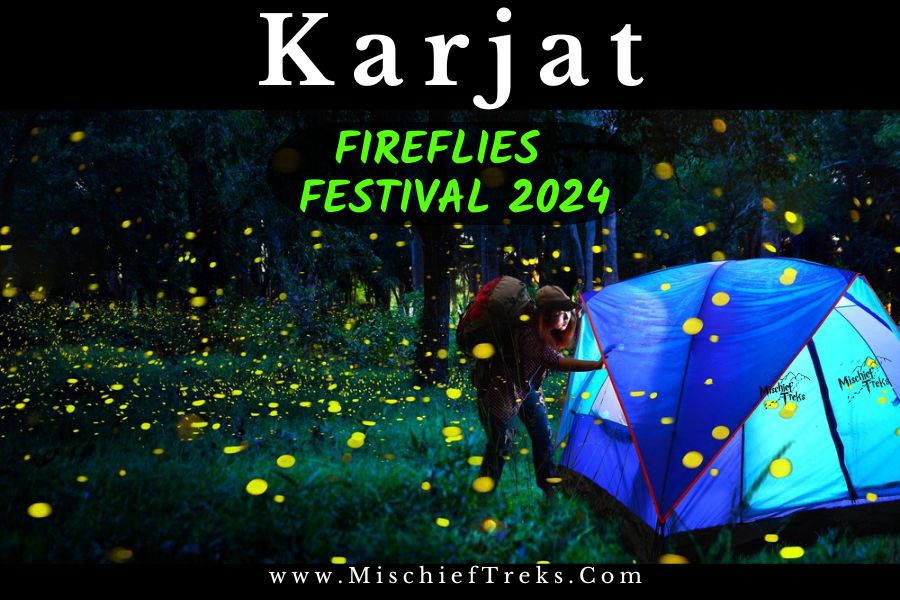 Karjat Fireflies Festival Image clicked by Mischief Treks. Copyright: Mischief Treks. Source: www.mischieftreks.com