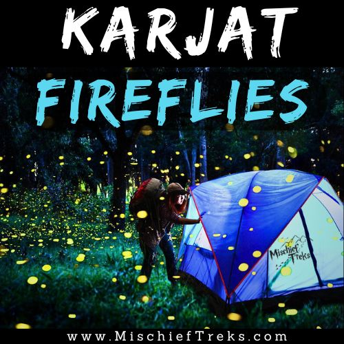 Karjat Fireflies Festival 2024. Image clicked by Mischief Treks. Copyright: Mischief Treks. Source: www.mischieftreks.com