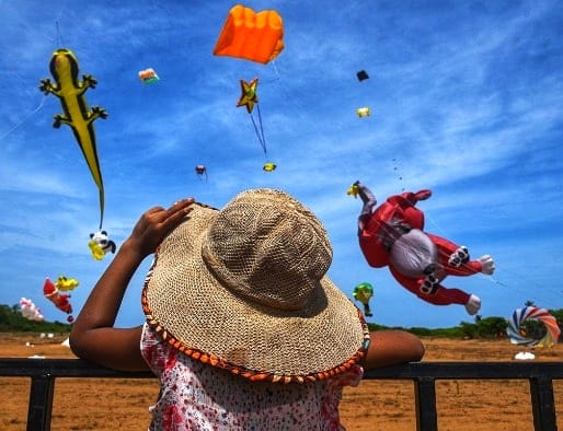 International Kite Festival Rann of Kutch Tour 2024 from Mumbai