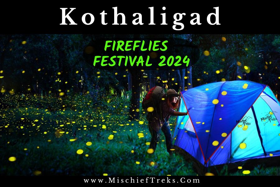 Kothaligad Fireflies Festival 2024 Trek and camping by Mischief Treks. Copyright: Mischief Treks