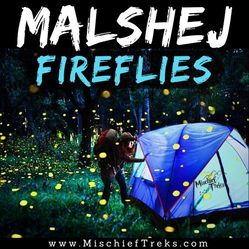 Malshej Fireflies Festival Camping 2025 by Mischief Treks from Mumbai. Copyright: Mischief Treks. Source: www.mischieftreks.com