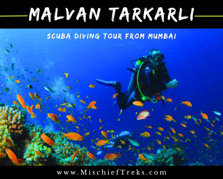 Malvan Tarkarli Scuba Diving Tour from Mumbai, Copyright: Mischief Treks. Source: www.mischieftreks.com