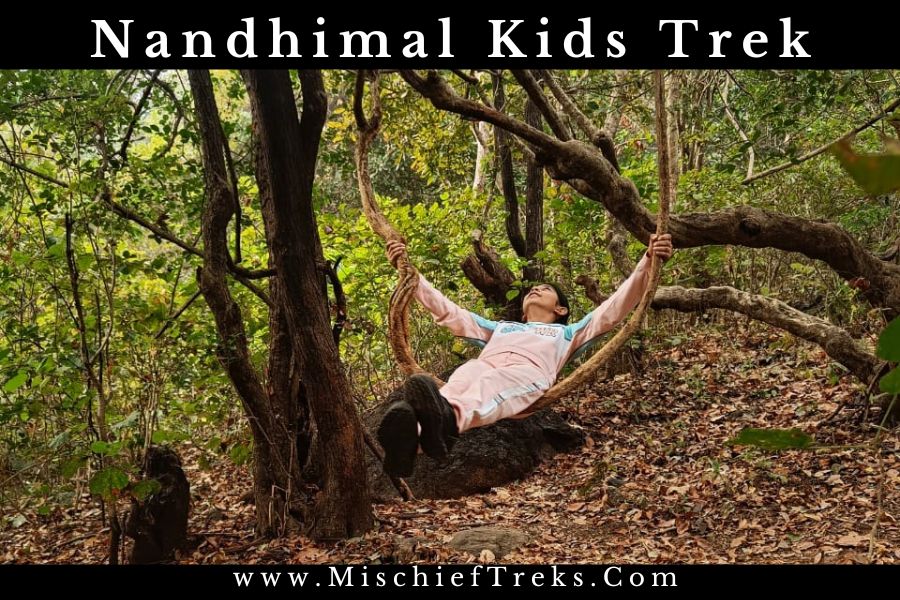 Nandhimal Kids One Day Trek By Mischief Treks
