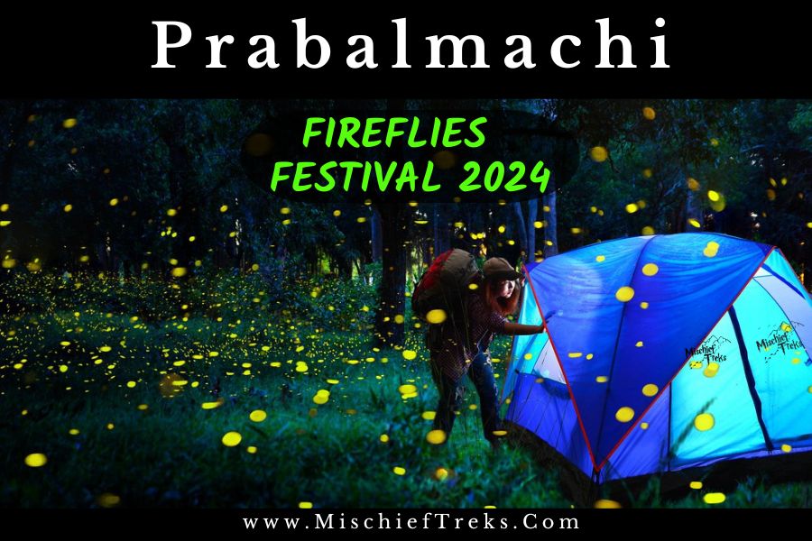 Prabalmachi Fireflies Festival by Mischief Treks. Copyright: Mischief Treks. Source: www.mischieftreks.com