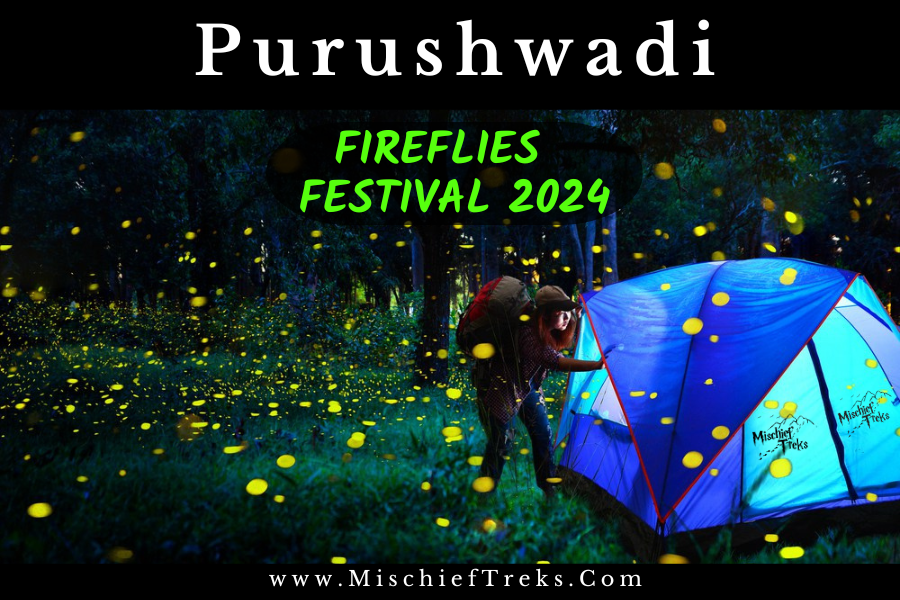 Purushwadi Fireflies Festival from Mumbai by Mischief Treks 
