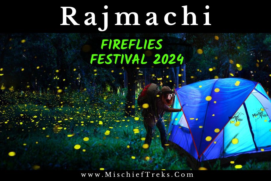 Rajmachi Fireflies Festival trek and camping latest photo 2024 by Mischief Treks. Copyright- Mischief treks Source -  www.mischieftreks.com