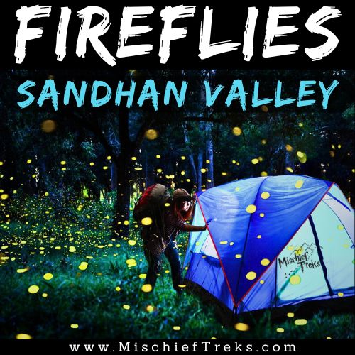 Samrad - Sandhan Valley Fireflies Festival Camping and Trek by MischiefTreks from Mumbai. Copyright: Mischief Treks. Source: www.mischieftreks.com