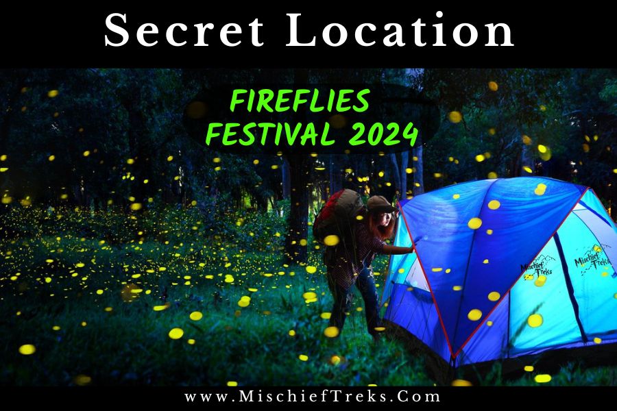 Secret Location Fireflies Festival 2024 Camping by Mischief Treks. Copyright: Mischief Treks. Source: www.mischieftreks.com