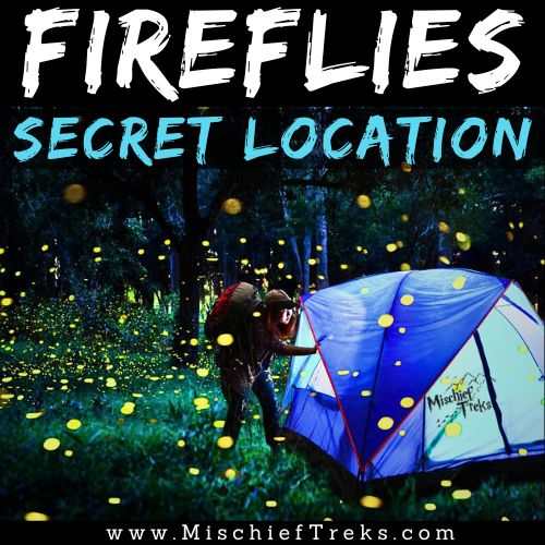 Secret Location Fireflies Festival 2024 Camping by Mischief Treks. Copyright: Mischief Treks. Source: www.mischieftreks.com