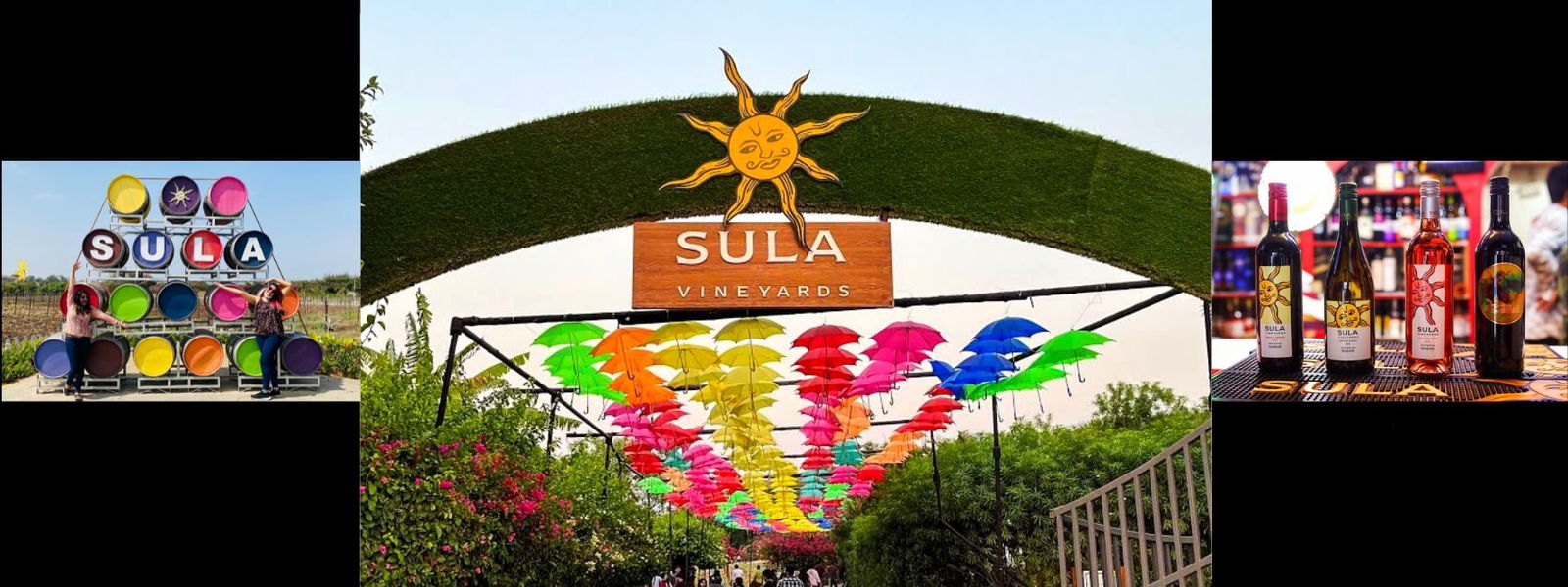 Best time to visit sula vineyards online