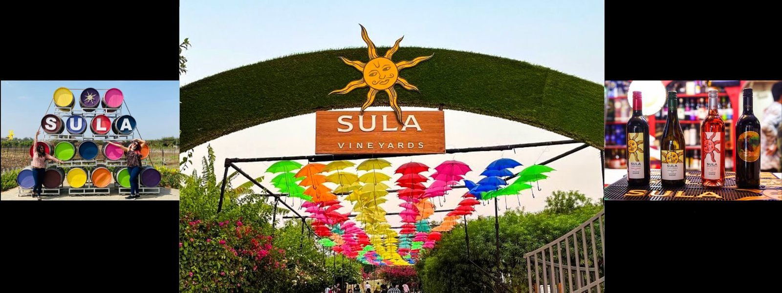 Sula Wines and Soma Vineyard Tour From Mumbai - Tour
