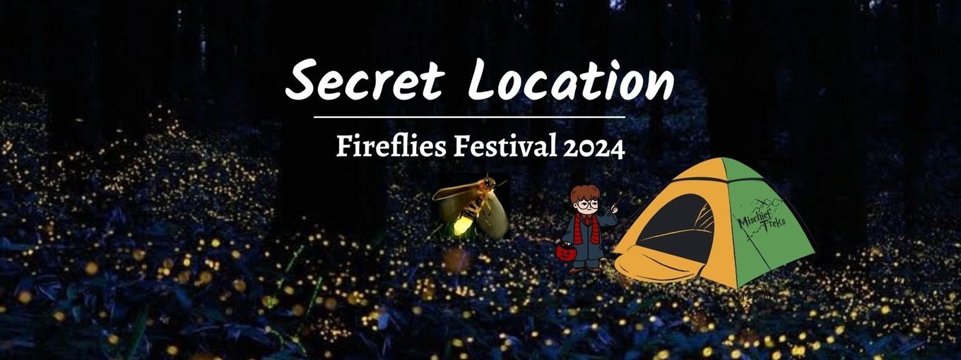 Fireflies Festival Secret Location 2024 - Tour