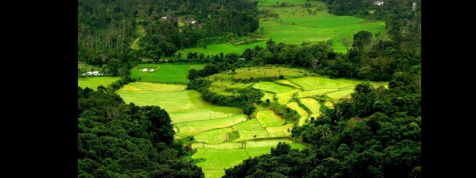 Coorg Tour from Mumbai - Tour