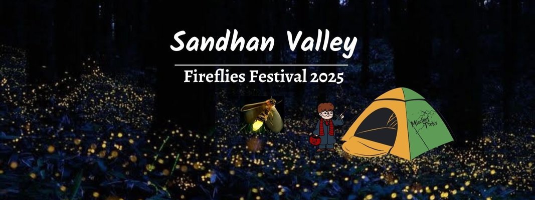 Fireflies Festival Samrad - Sandhan Valley - Tour