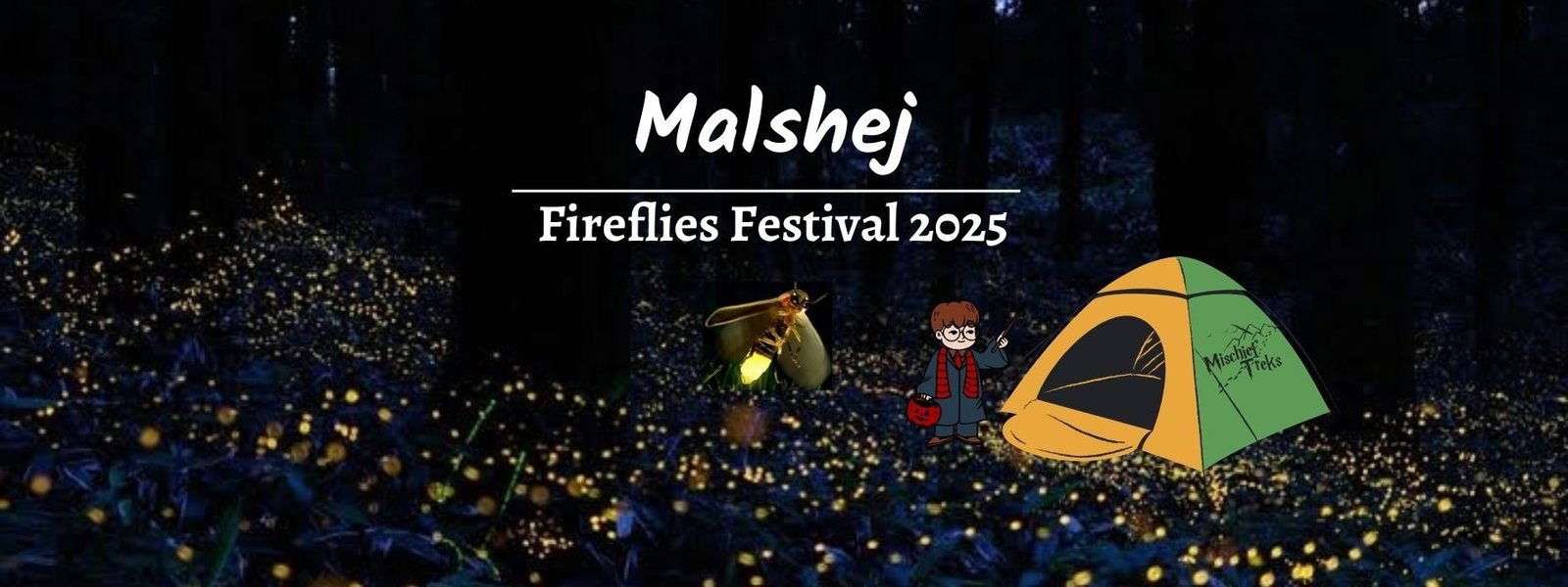 Fireflies Festival Malshej Ghat Camping 2025 - Tour