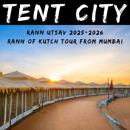 Tent city during Rann Utsav at Rann of Kutch displaying dholavira and dhordo white rann resort and booking.